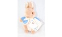 Peter Rabbit Soft Toy