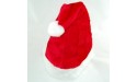 Santa Hat