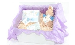 New Baby Boy Gift Box