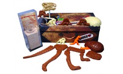 Chocolate Dinosaur Exploration Case