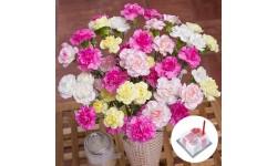 Birthday Flower Gift