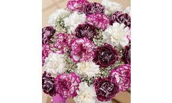 Blackberry Burst XL