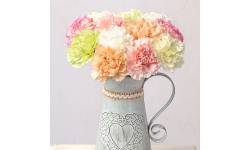12 Classic Carnations