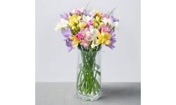 Fragrant Freesias