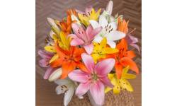 Luxury Lilies