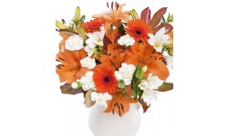 Citrus Burst
