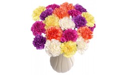 20 Funky Carnations