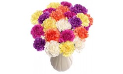 30 Funky Carnations