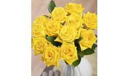 12 Yellow Roses