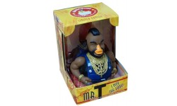 Mr T Duck