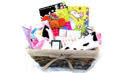 Deluxe New Baby Girl Hamper