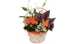 Autumn Flower Basket
