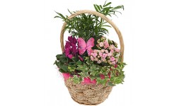 Mother's Day Basket
