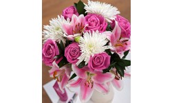 Chelsea Pink