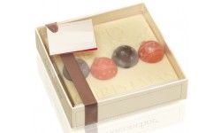 Snowflake Chocolate Gift