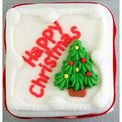 Merry Christmas Cake