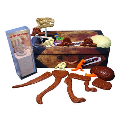 Chocolate Dinosaur Exploration Case
