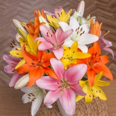 Luxury Lilies