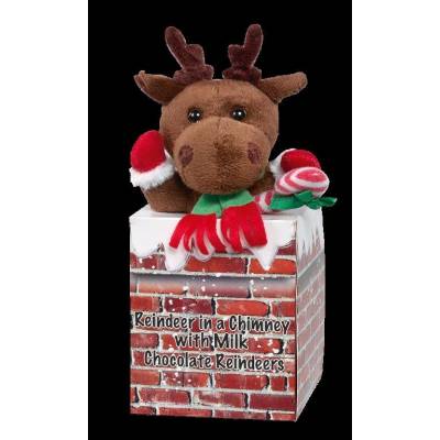 Chocolate and Teddy Reindeer Gift