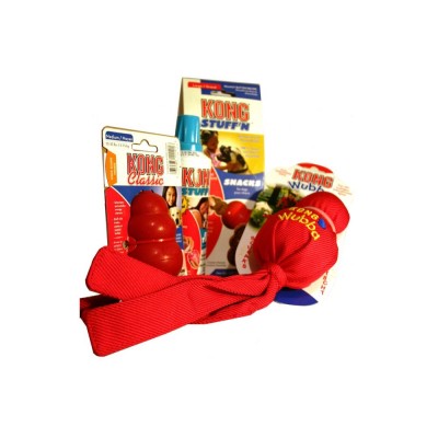 Kong Starter Pack - Medium Dog