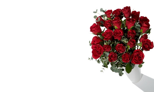FunkyHampers 24 Red Roses