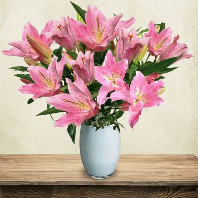 Just Lillies - Pink