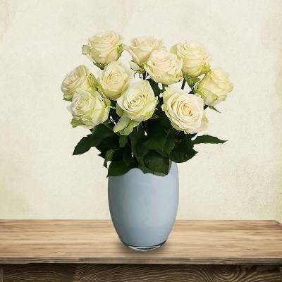 Just Roses - White