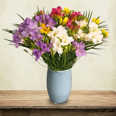 Just Freesia - Mixed