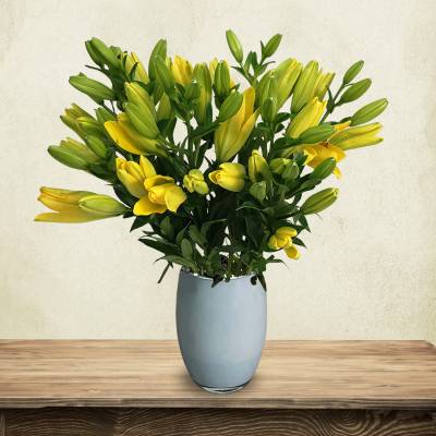 Just Lillies - Yellow