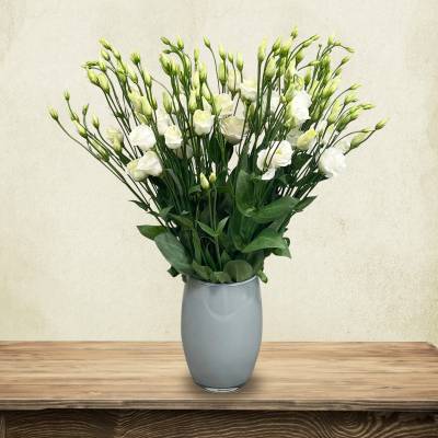 Just Lisianthus - White