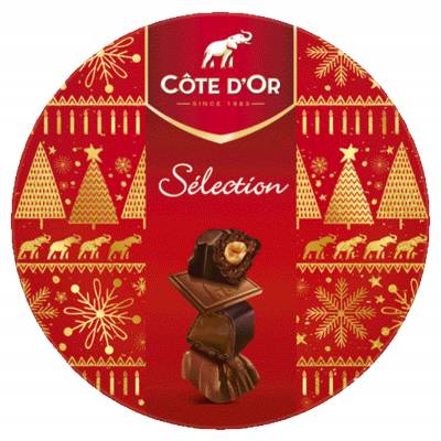 Image of Cote dOr Selection Box