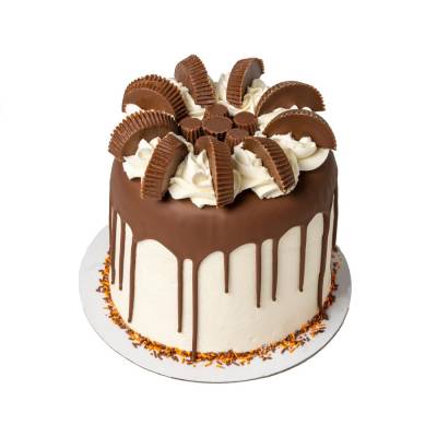 The Peanut Butter and Chocolate Cake