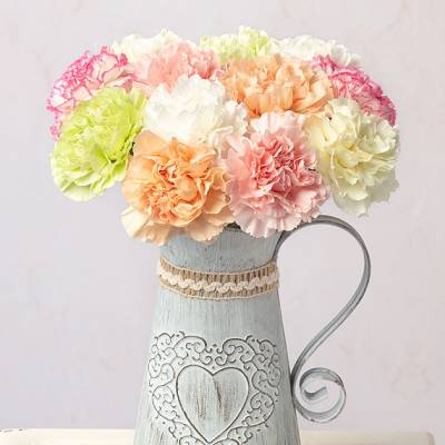 Image of 12 Classic Carnations