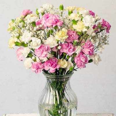 Image of Spray Cascade