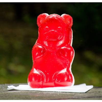 Giant Gummy Bear