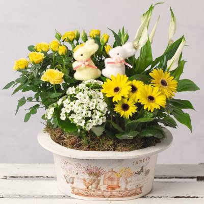 Easter Sunshine Planter