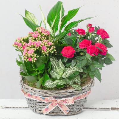 Image of Pink Flower Planter