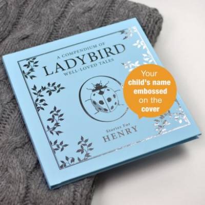Image of Personalised Blue Ladybird Compendium