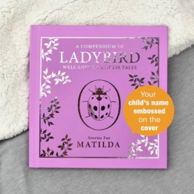 Image of Personalised Pink Ladybird Compendium