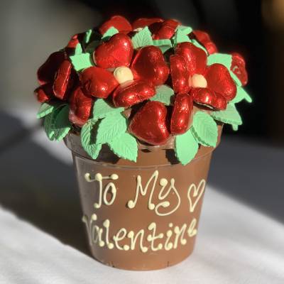 Red Chocolate Smash Flower Pot