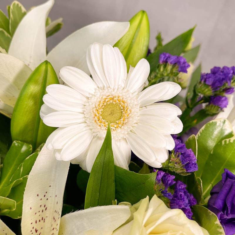 Purple Wishes Hand-tied