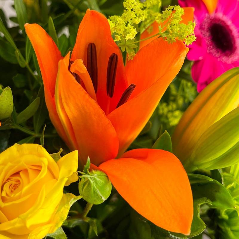 Hawaiian Sunset Hand-tied