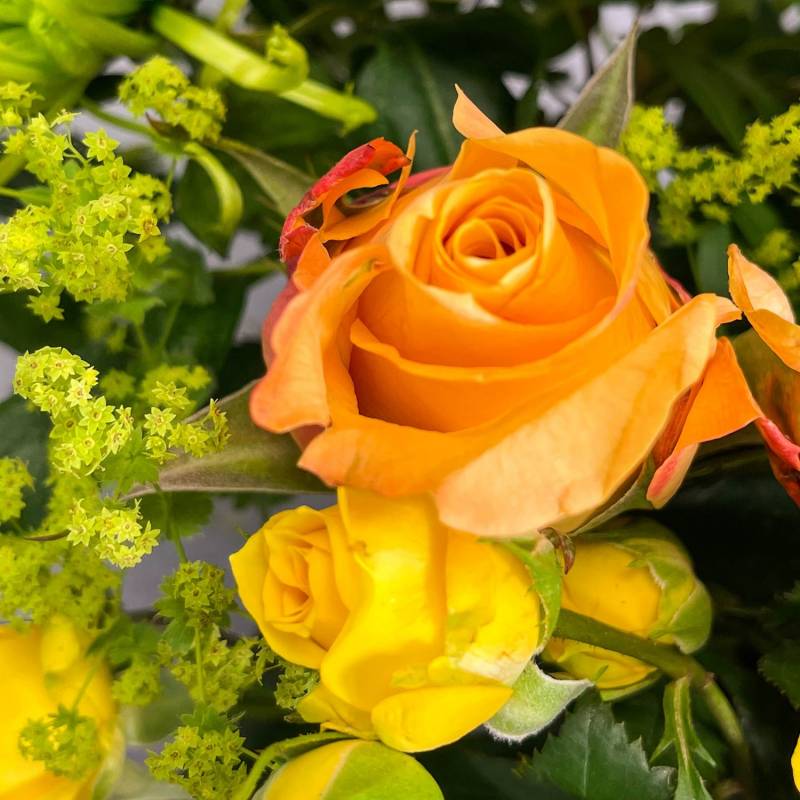 Hawaiian Sunset Hand-tied