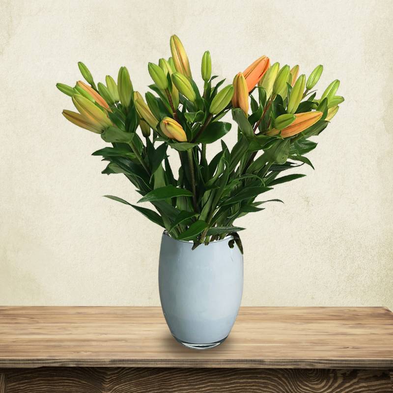 Just Lillies - Orange