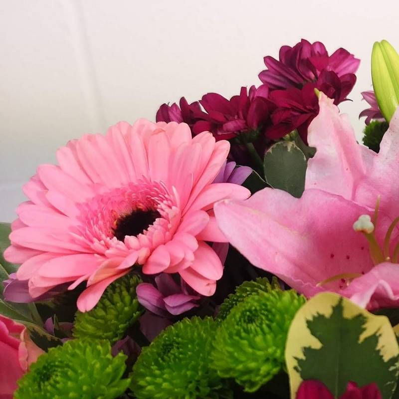 Pink Simplicity Hand-Tied