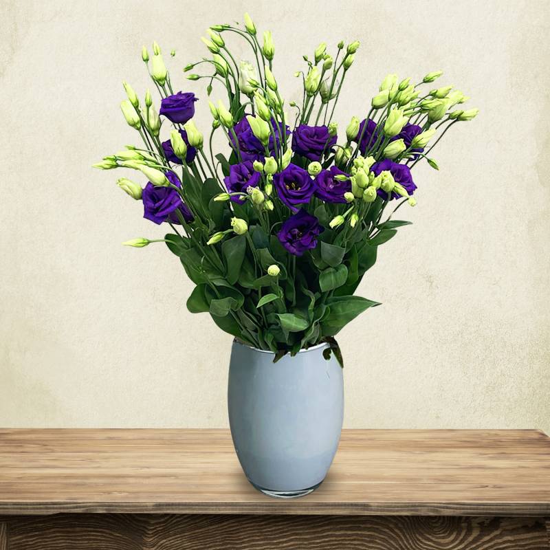 Just Lisianthus - Purple