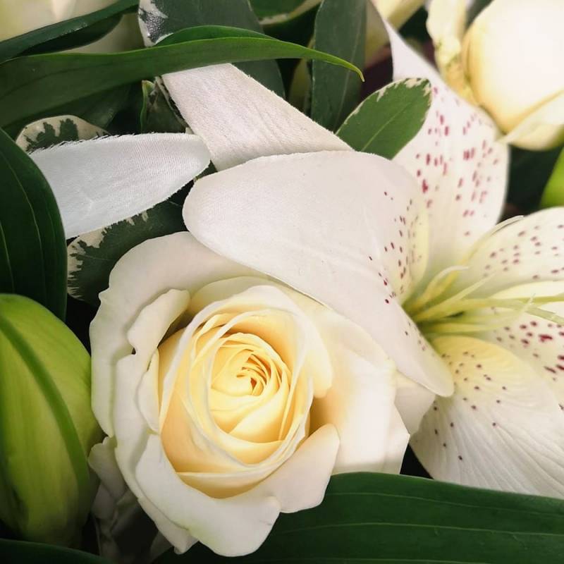White Harmony Hand-Tied
