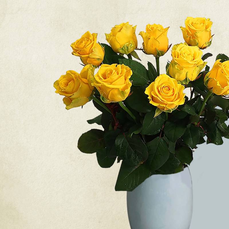 Just Roses - Yellow