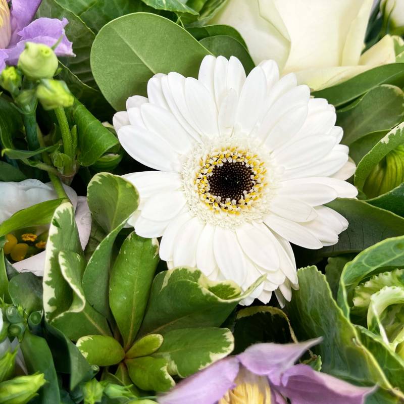 Country Lane Hand-Tied