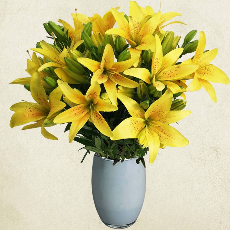 Just Lillies - Yellow